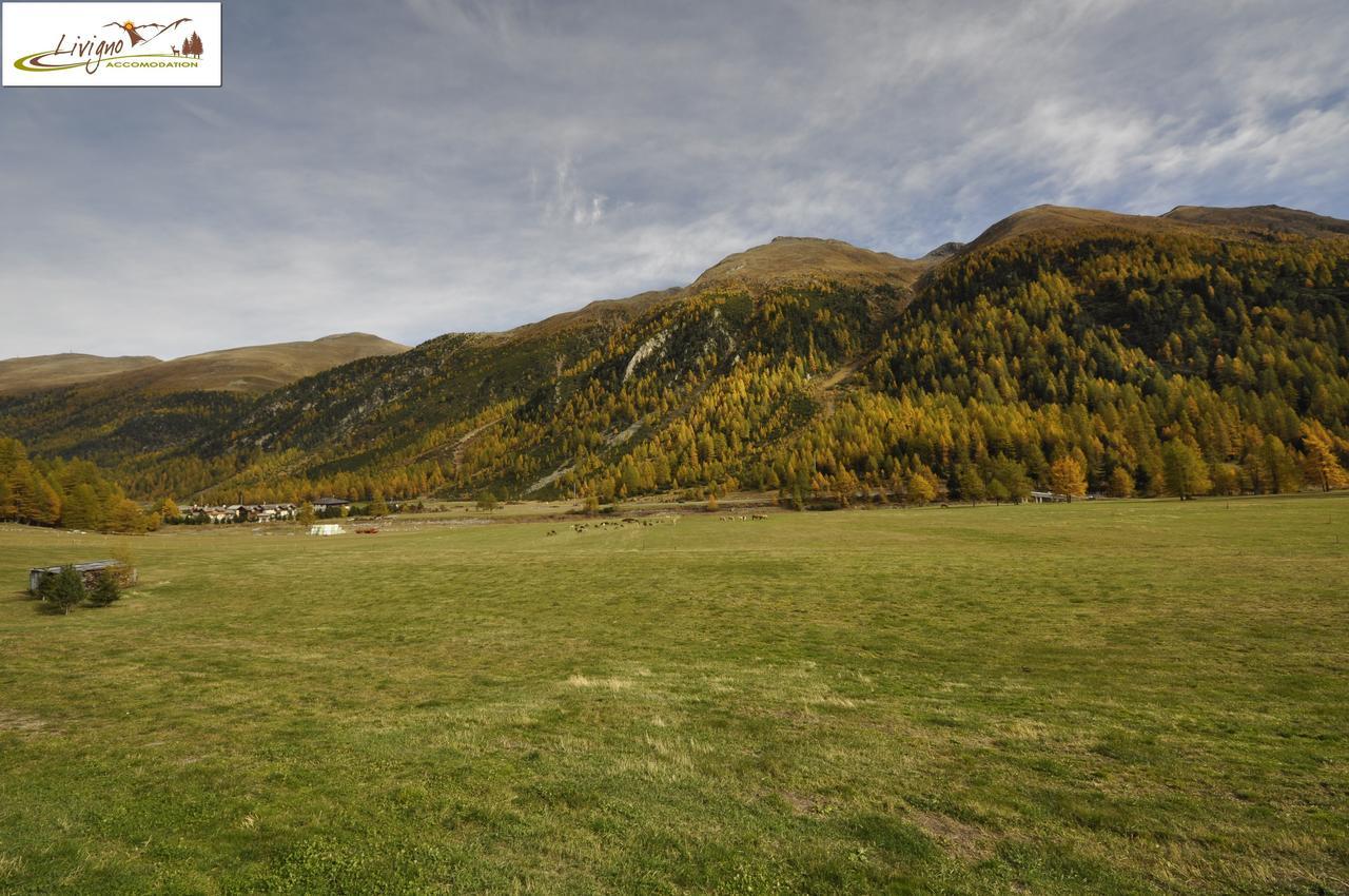 Baita Stebline Livigno Esterno foto